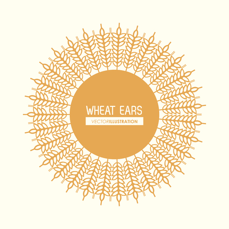Wheat ears concept with icon design, vector illustration 10 eps graphic.のイラスト素材