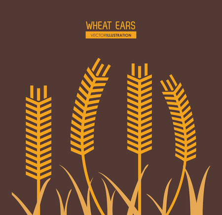 Wheat ears concept with icon design, vector illustration 10 eps graphic.のイラスト素材