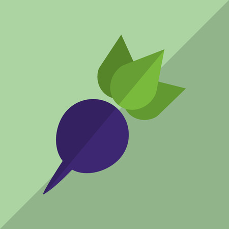 Organic food  concept with icon design, vector illustration 10 eps graphic.のイラスト素材
