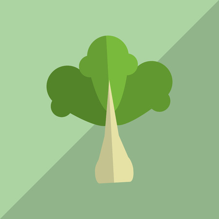 Organic food  concept with icon design, vector illustration 10 eps graphic.のイラスト素材