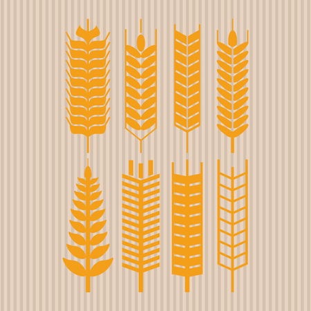 Wheat  concept with icon design, vector illustration 10 eps graphic.のイラスト素材