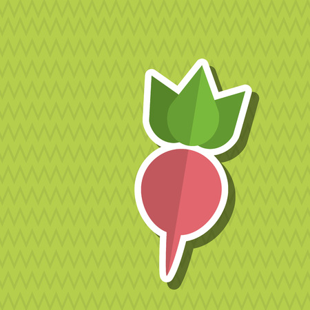 Organic food  concept with icon design, vector illustration 10 eps graphic.のイラスト素材