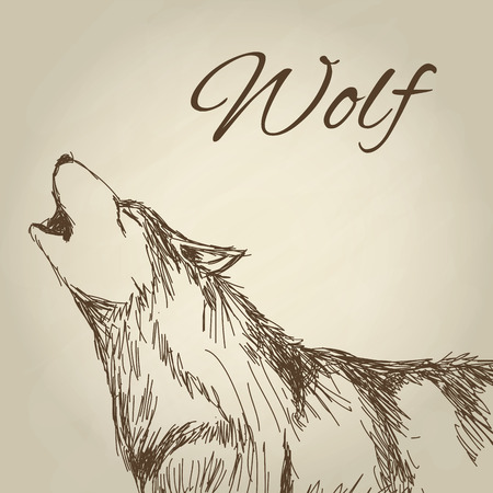 Wolf concept with icon design, vector illustration 10 eps graphic.のイラスト素材