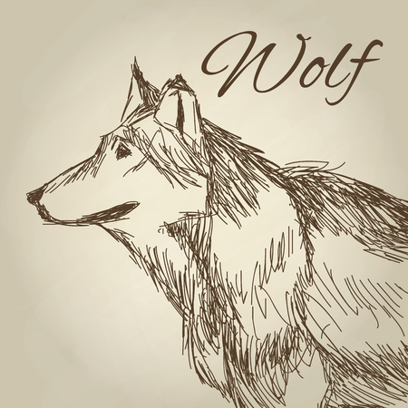 Wolf concept with icon design, vector illustration 10 eps graphic.のイラスト素材