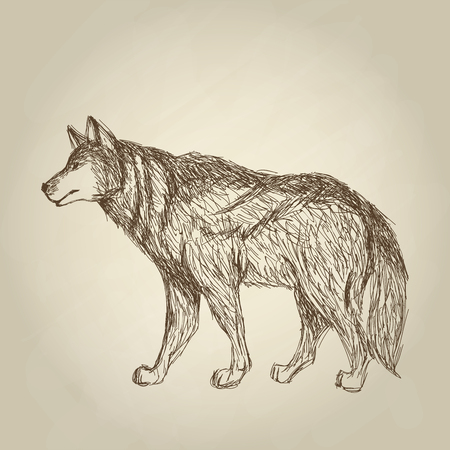 Wolf concept with icon design, vector illustration 10 eps graphic.のイラスト素材