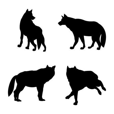 Wolf concept with icon design, vector illustration 10 eps graphic.のイラスト素材