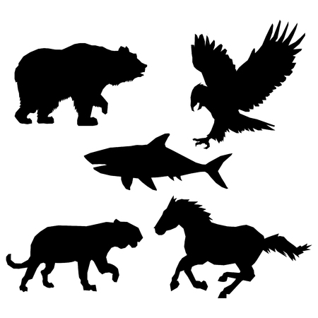 Animal concept with icon design, vector illustration 10 eps graphic.のイラスト素材