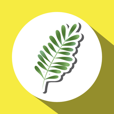 Tropical leaves concept with icon design, vector illustration 10 eps graphic.のイラスト素材