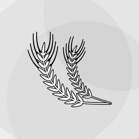 Wheat  concept with icon design, vector illustration 10 eps graphic.のイラスト素材