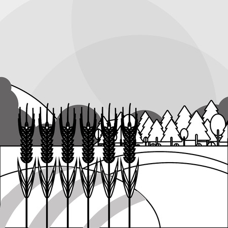 Wheat  concept with icon design, vector illustration 10 eps graphic.のイラスト素材