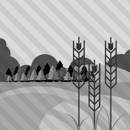 Wheat  concept with icon design, vector illustration 10 eps graphic.のイラスト素材