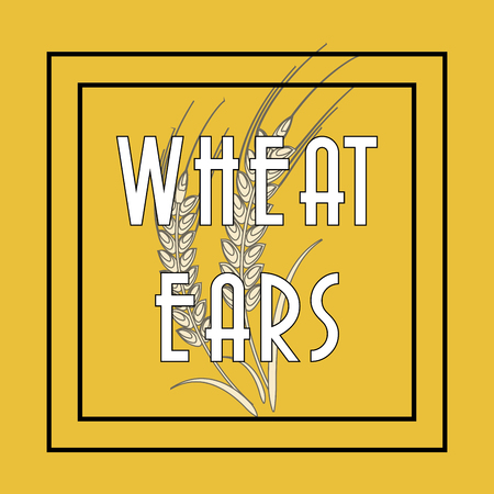 Wheat  concept with icon design, vector illustration 10 eps graphic.のイラスト素材