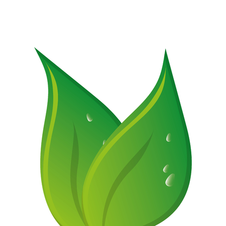 green leaves leaf nature isolated vector illustrationのイラスト素材