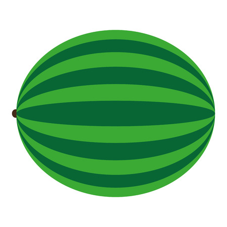 flat design whole watermelon icon vector illustrationのイラスト素材
