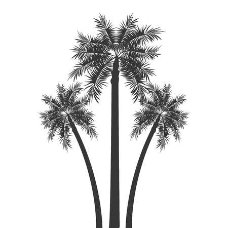 flat design palm tree icon vector illustrationのイラスト素材