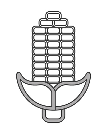 flat design corn cob icon vector illustrationのイラスト素材