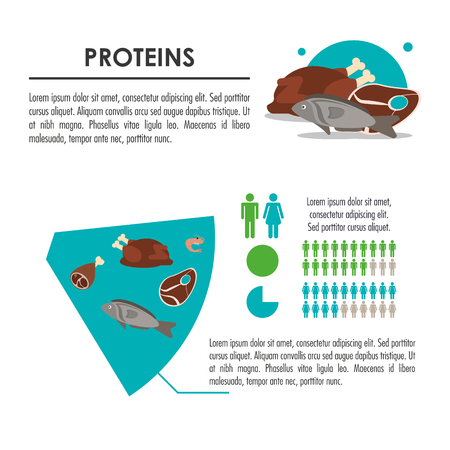 fish meat chicken nutrition infographic menu food icon. Colorfull and flat illustrationのイラスト素材