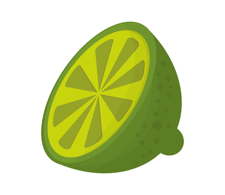 flat design half lime icon vector illustrationのイラスト素材