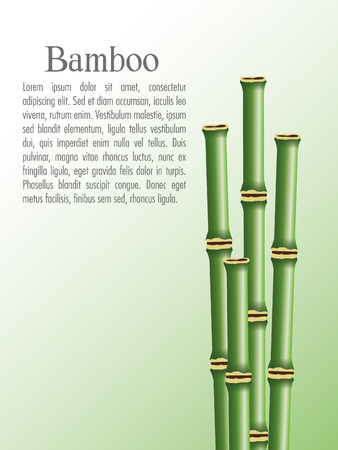 Bamboo trunks icon. Nature plant decoration and asia theme. Colorful design. Vector illustrationのイラスト素材