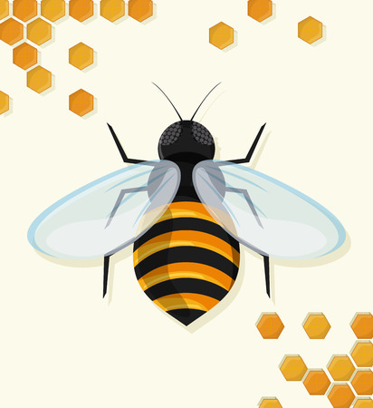 Honeycomb and bee icon. Honey healthy and organic food theme. Colorful design. Vector illustrationのイラスト素材