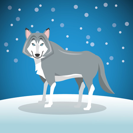 wolf over background image vector illustration designのイラスト素材