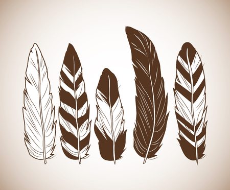 feathers icon. boho style bohemic ornament indian and decoration theme. Pastel background. Vector illustrationのイラスト素材