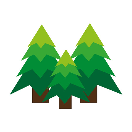 Pine tree icon. Christmas season decoration and celebration theme. Colorful design. Vector illustrationのイラスト素材