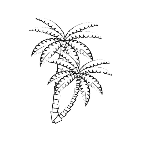 Palm tree icon. Nature plant and summer season theme. Isolated design. Vector illustrationのイラスト素材