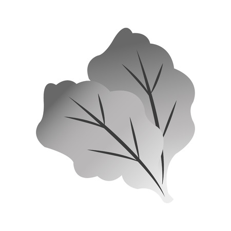 Lettuce icon. Healthy organic fresh and natural food theme. Isolated design. Vector illustrationのイラスト素材