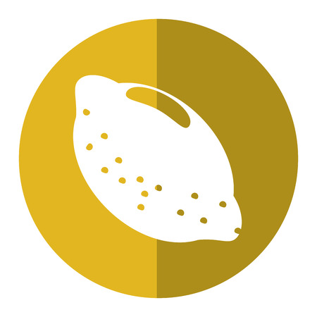 citrus lemon vitamin nature shadow vector illustration eps 10のイラスト素材