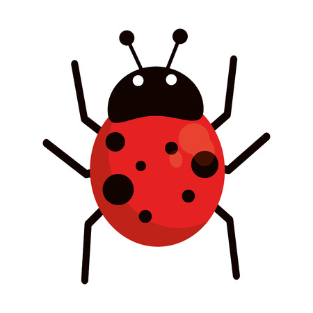 ladybug fly antenna animalのイラスト素材