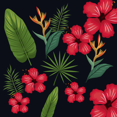 hibiscus leaf palm tropical wildのイラスト素材
