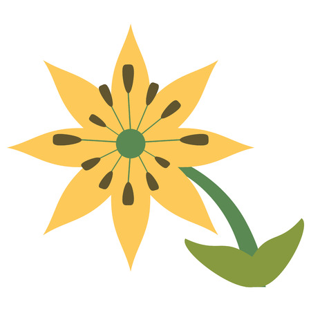 plumeria flower decoration image vector illustration eps 10のイラスト素材