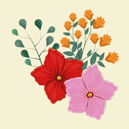 geranium flower decorative image vector illustrationのイラスト素材