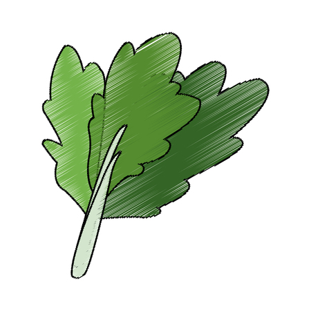 celery vegetable icon over white background. vector illustrationのイラスト素材