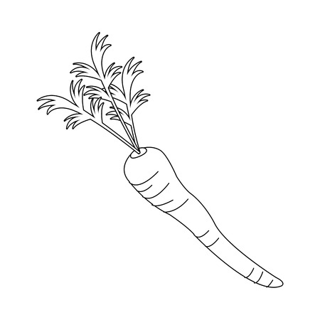 carrot vegetable icon over white background. vector illustrationのイラスト素材