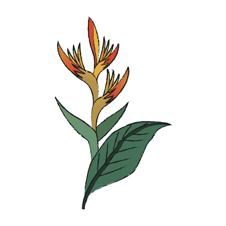 tropical flower icon over white background. vector illustrationのイラスト素材