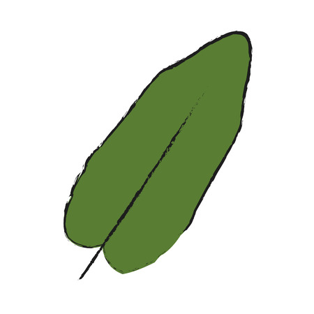 Tropical leaf icon over white background. vector illustrationのイラスト素材