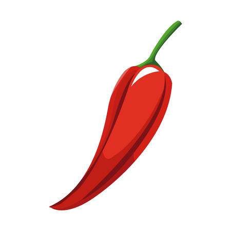 red chili icon over white background. colorful design. vector illustrationのイラスト素材