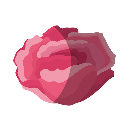 beautiful flower icon over white background. colorful design. vector illustrationのイラスト素材