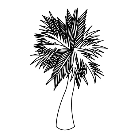 palm icon over white background. colorful design. vector illustrationのイラスト素材