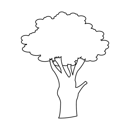 tree icon over white background. vector illustrationのイラスト素材