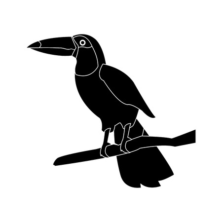 toucan bird animal cartoon icon image vector illustration designのイラスト素材