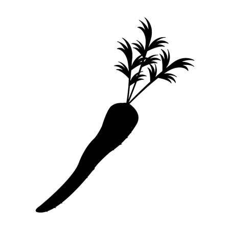 carrot vegetable icon over white background. vector illustrationのイラスト素材