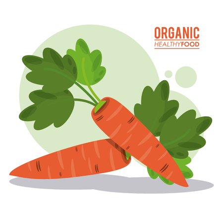 organic healthy food carrot harvestのイラスト素材