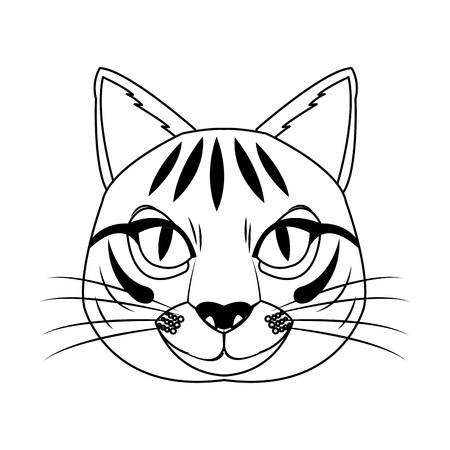 cat animal cartoon icon over white background. vector illustrationのイラスト素材