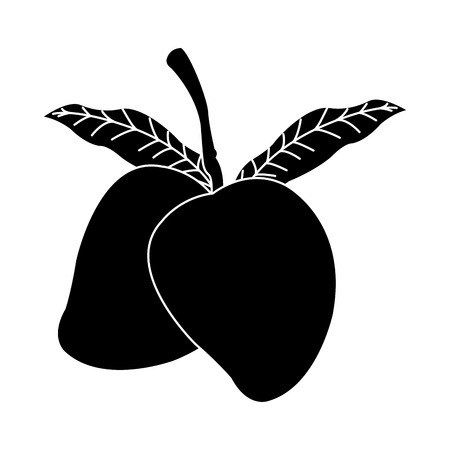 mango fruit icon image vector illustration designのイラスト素材