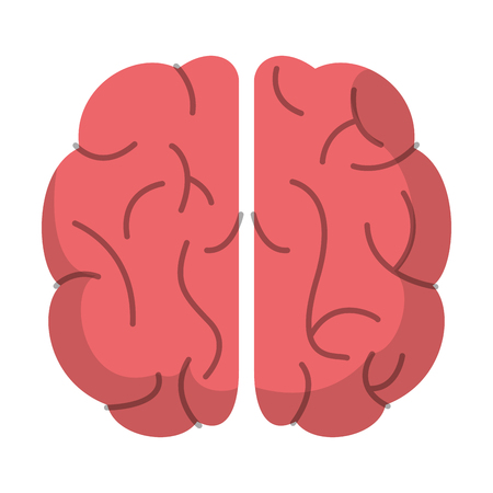 brain organ human function image vector illustration eps 10のイラスト素材