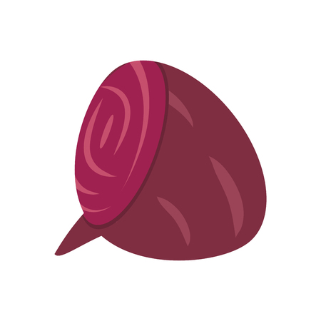 slice beet food healthy image vector illustration eps 10のイラスト素材