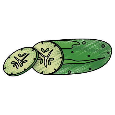 Colored concept of drawing cucumber food nutrition vector illustration eps 10のイラスト素材